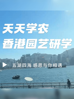 与香港园艺学会联合举办香港园艺研学，专业园境师带队讲解。