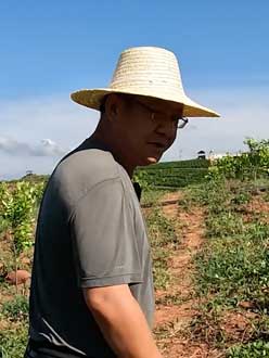 农业人叶涛，50多岁通讯人跨界搞农业，他要用1000万打造一个梦。